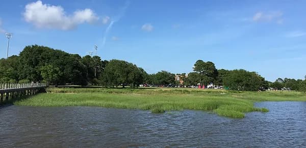 Marsh grass and water along the Ashley River at Brittlebank Park, with trees and a pier on the far side