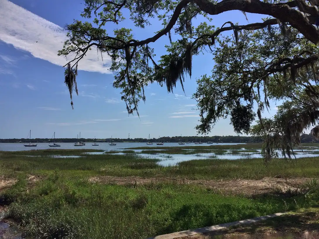 Spanish moss hanging from a live oak branch over green marsh and the Intracoastal Waterway in Beaufort