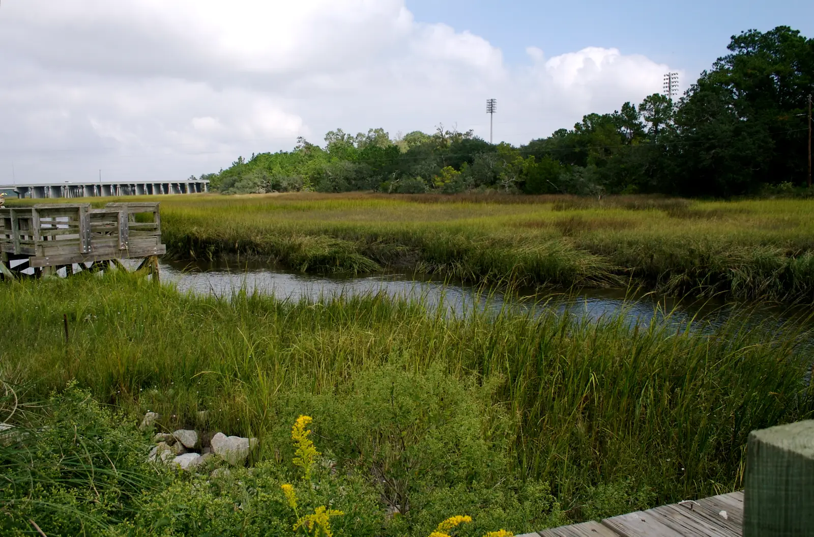 Tidal creek winding through green spartina marsh grass on Daniel Island, with a wooden dock at the left